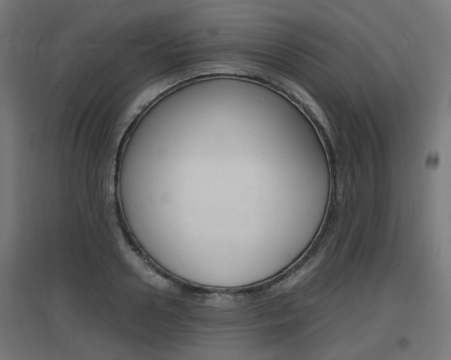 X0000097620938200802290817
