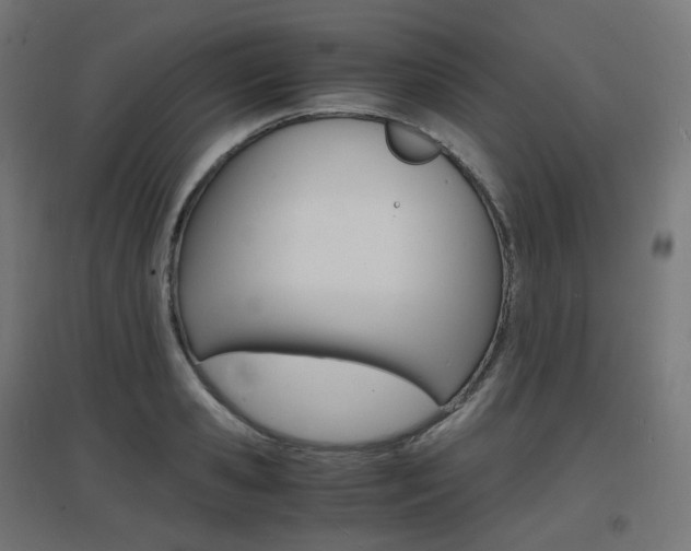 X0000097620941200802290817