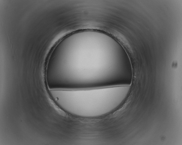 X0000097620942200802290817