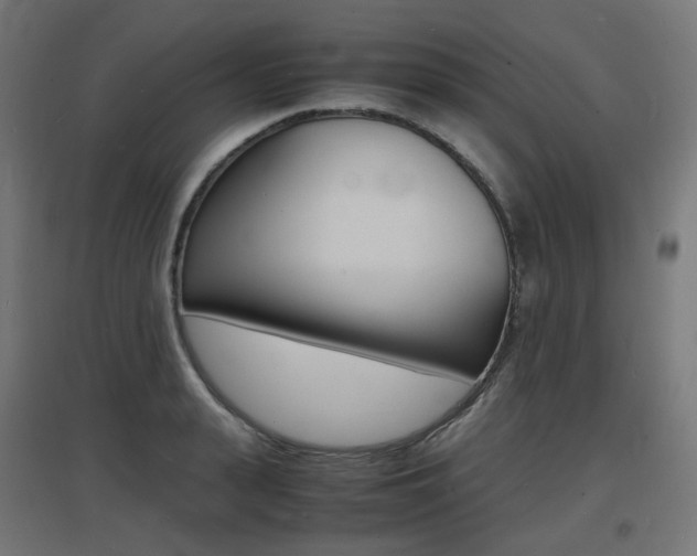 X0000097620943200802290817