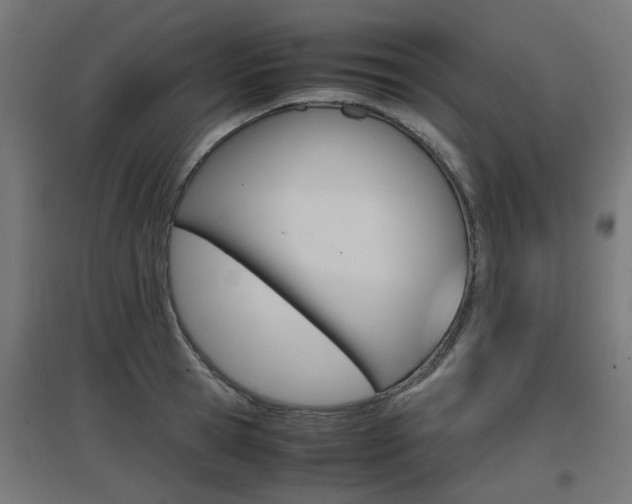 X0000097620945200802290817