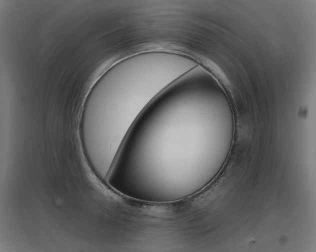 X0000097620946200802290817