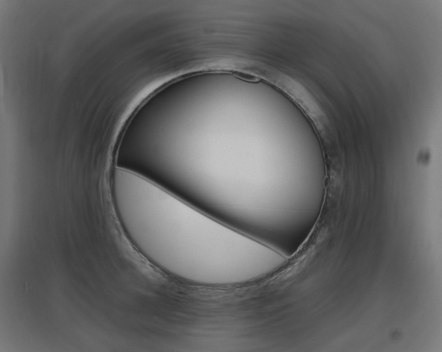 X0000097620948200802290817