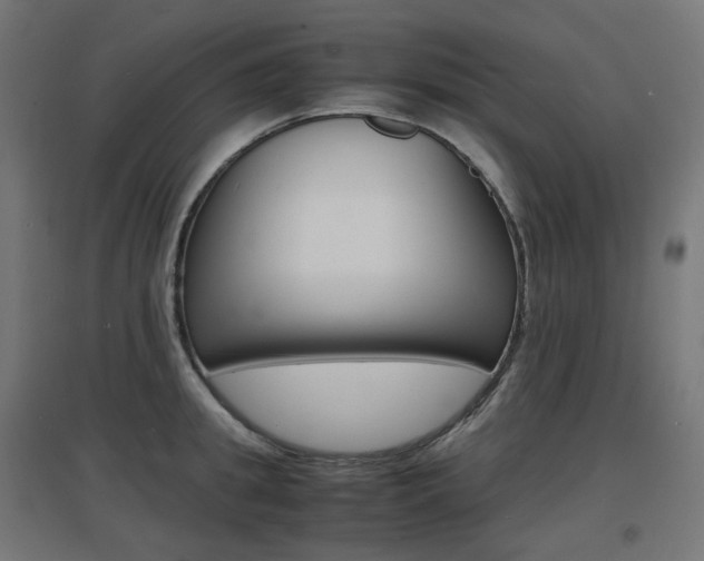 X0000097620949200802290817