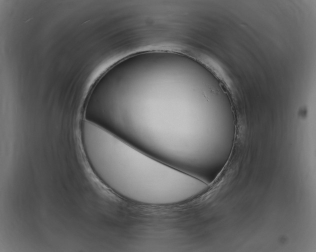X0000097620952200802290817