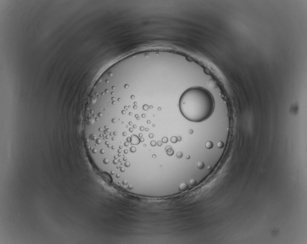 X0000097620953200802290817