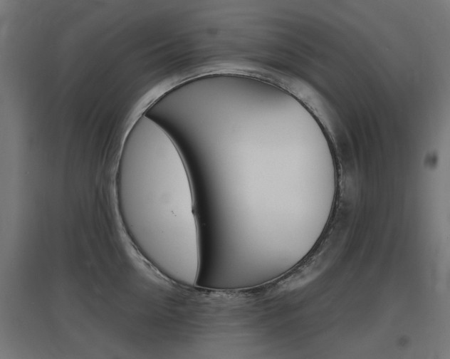 X0000097620954200802290817