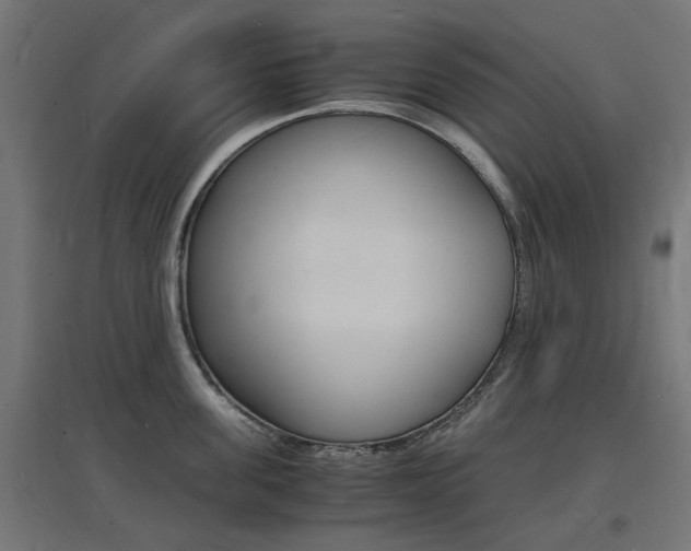 X0000097620955200802290817