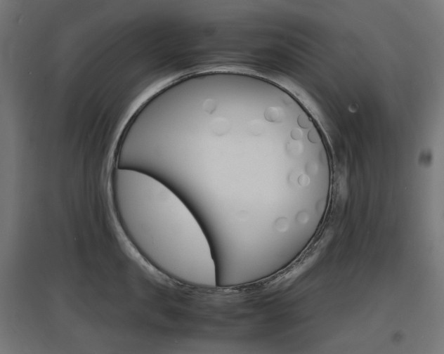 X0000097620957200802290817