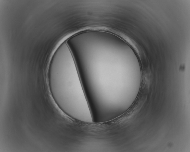X0000097620959200802290817