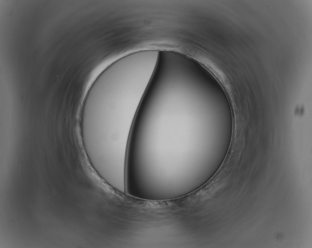 X0000097620960200802290817