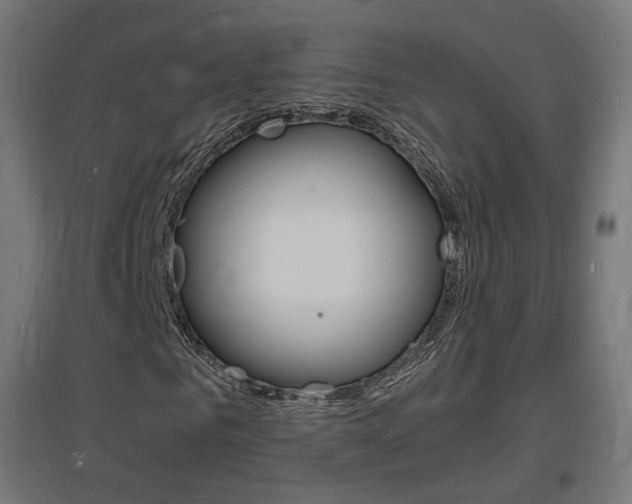 X0000097620961200802290816
