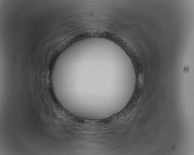 X0000097620963200802290816