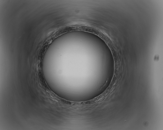 X0000097620965200802290816
