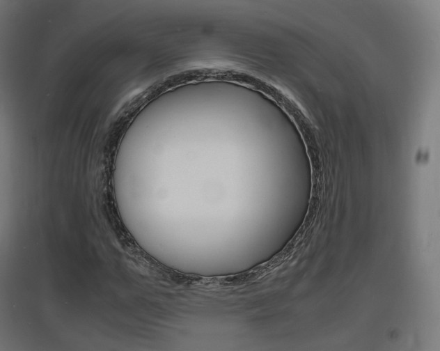 X0000097620967200802290816