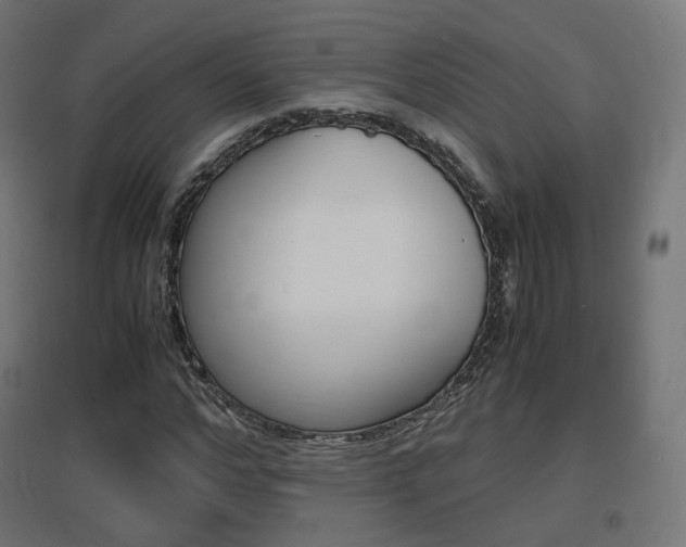 X0000097620968200802290816