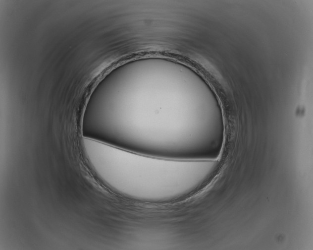 X0000097620969200802290816