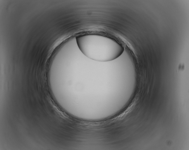 X0000097620970200802290816