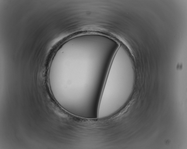 X0000097620971200802290816