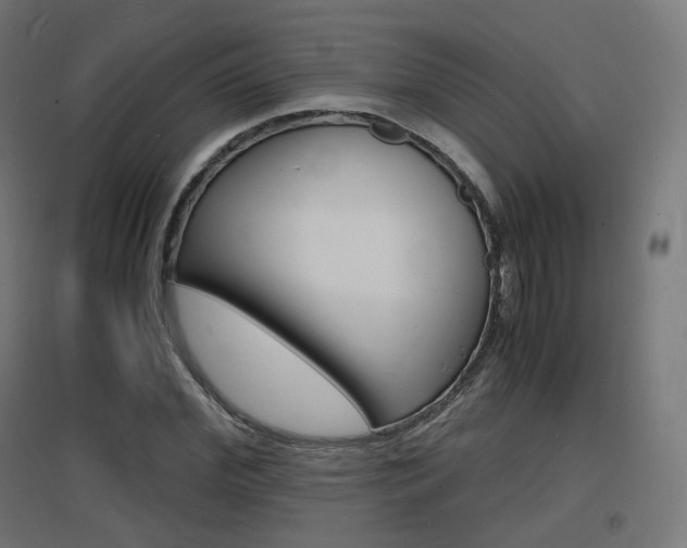 X0000097620972200802290816