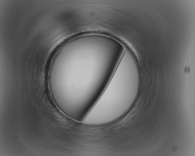 X0000097620975200802290816