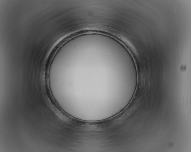 X0000097620976200802290816