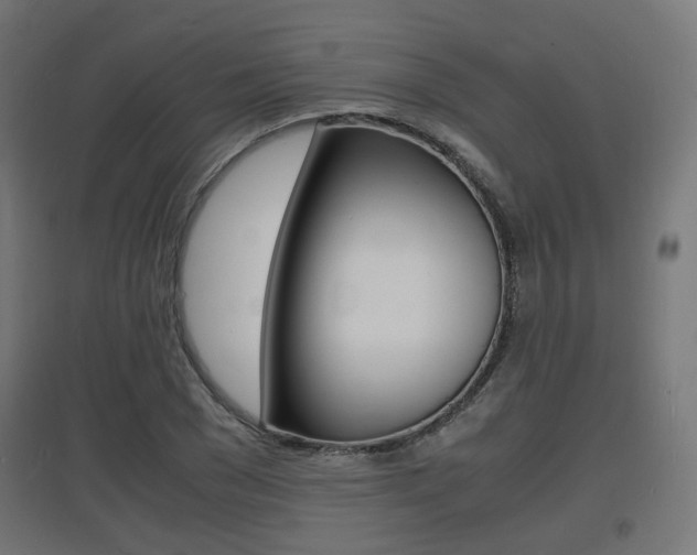 X0000097620977200802290816