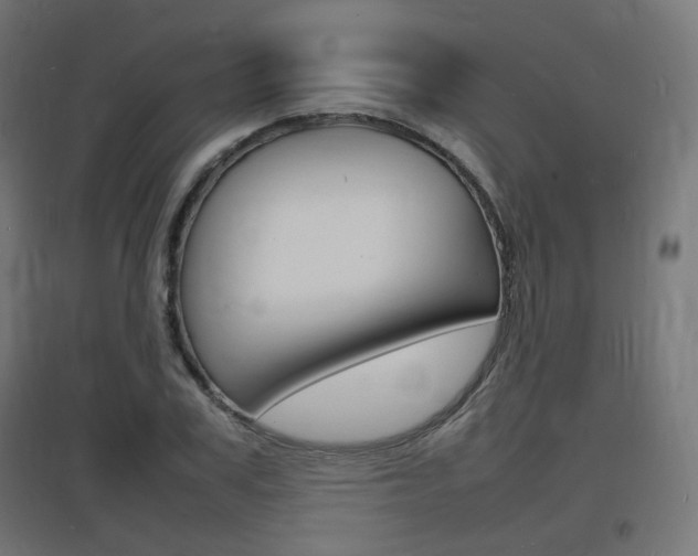X0000097620979200802290816