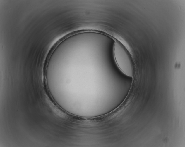 X0000097620980200802290816
