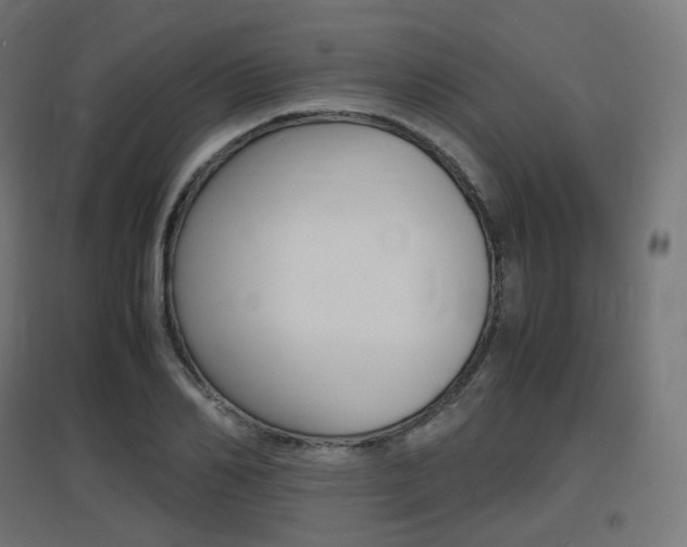 X0000097620982200802290816