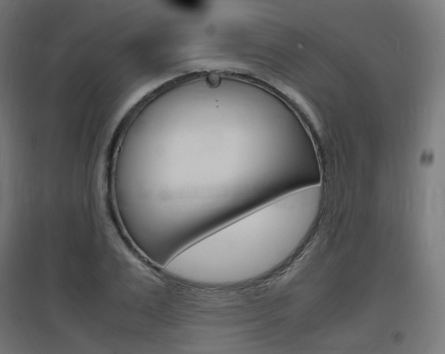 X0000097620983200802290816