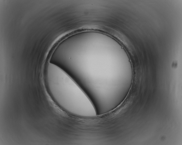 X0000097620984200802290816