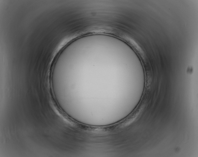 X0000097620986200802290816