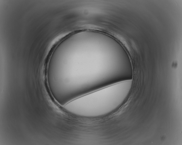 X0000097620987200802290816