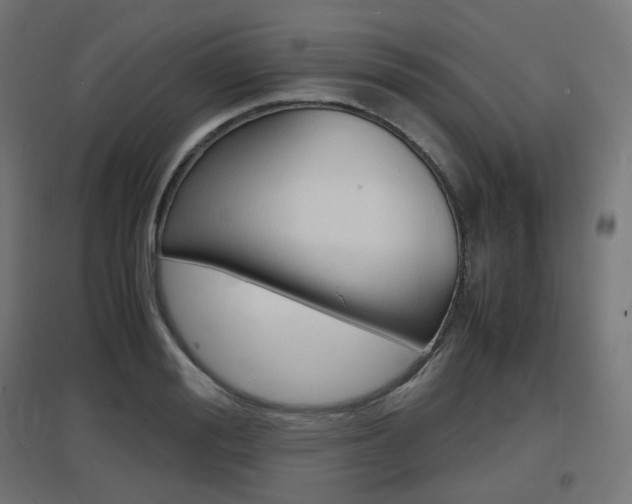 X0000097620988200802290816