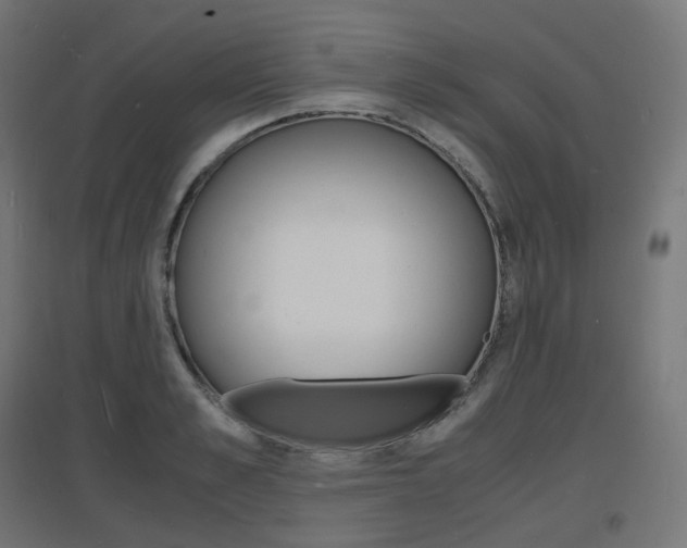 X0000097620989200802290816