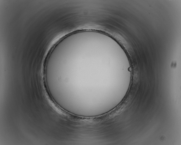 X0000097620990200802290816