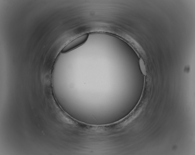 X0000097620993200802290816