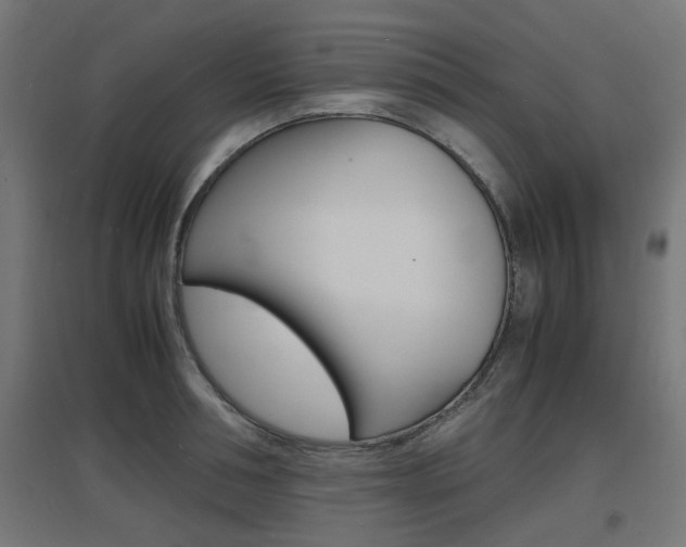 X0000097620994200802290816