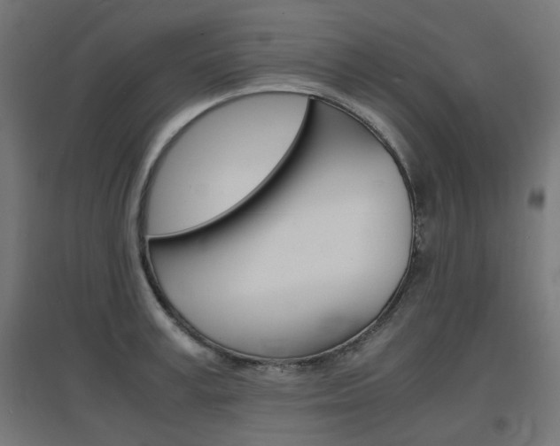 X0000097620995200802290816