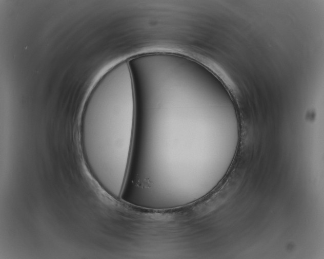 X0000097620996200802290816