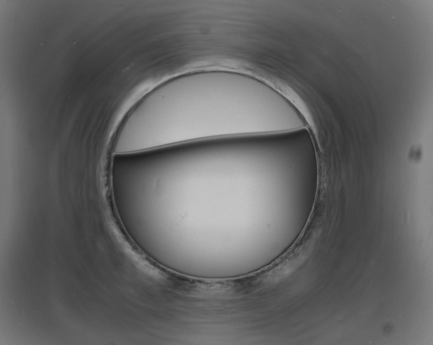 X0000097620997200802290816