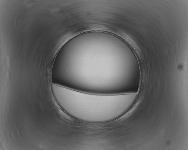 X0000097621001200802290816
