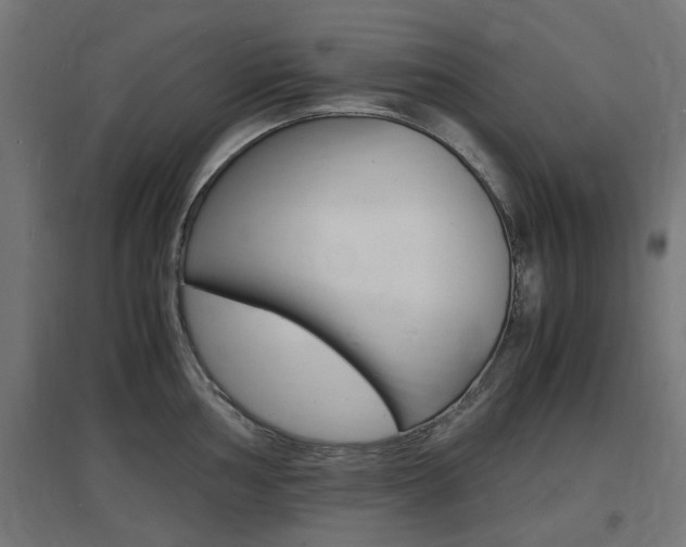X0000097621002200802290816