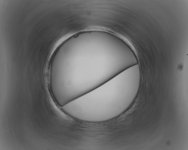 X0000097621003200802290816