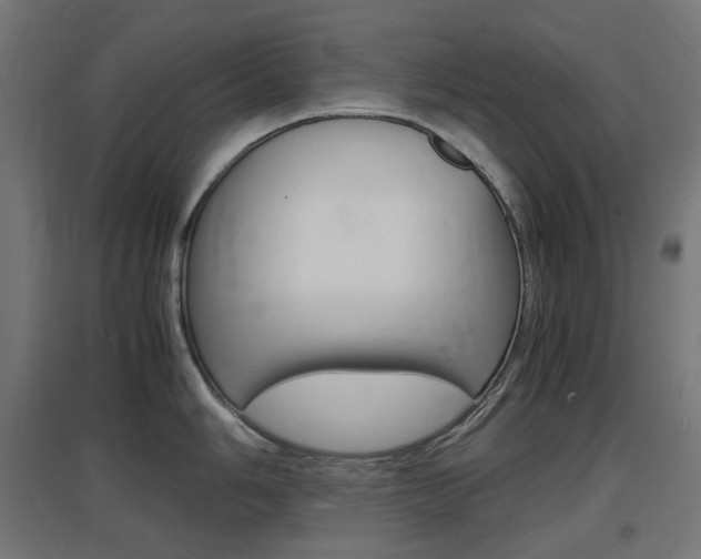 X0000097621006200802290816