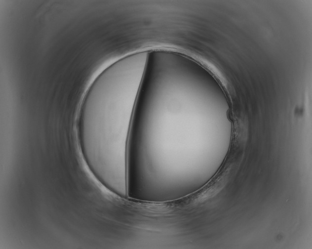X0000097621007200802290816