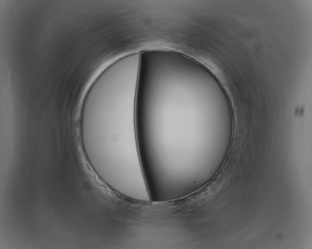 X0000097621008200802290816