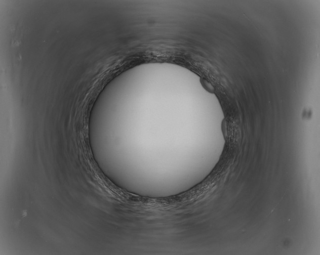 X0000097621009200802290815