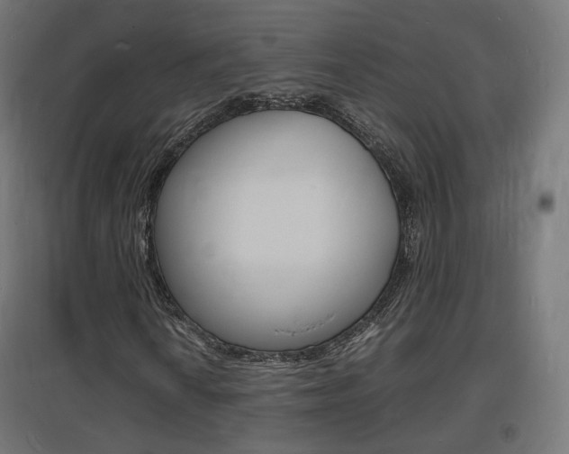 X0000097621010200802290815